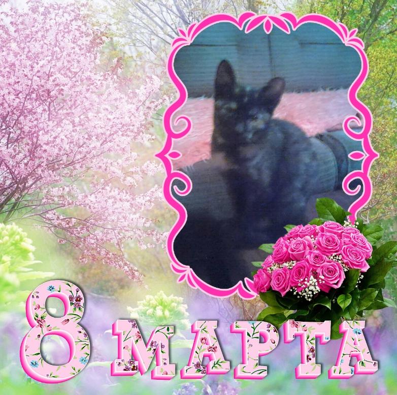 zoza1958 uploaded   46  day/s  ago