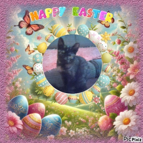 zoza1958 uploaded   6  day/s  ago