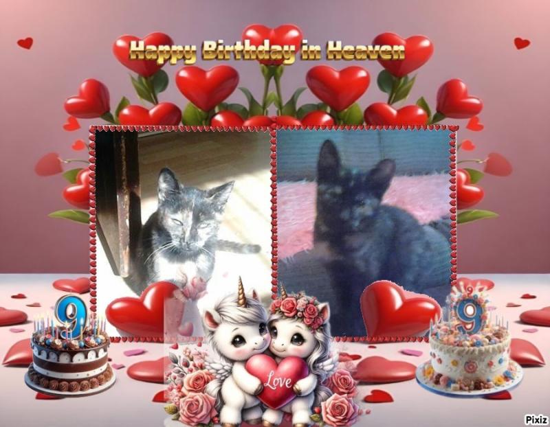 zoza1958 uploaded   3  day/s  ago