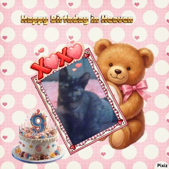 Princess Lana of the zoza1958 family