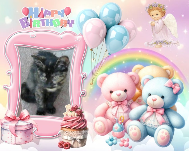 zoza1958 uploaded   3  day/s  ago