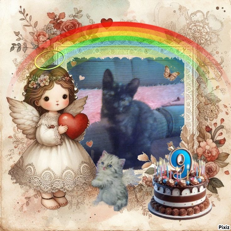 zoza1958 uploaded   3  day/s  ago