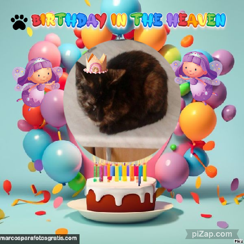 zoza1958 uploaded   3  day/s  ago