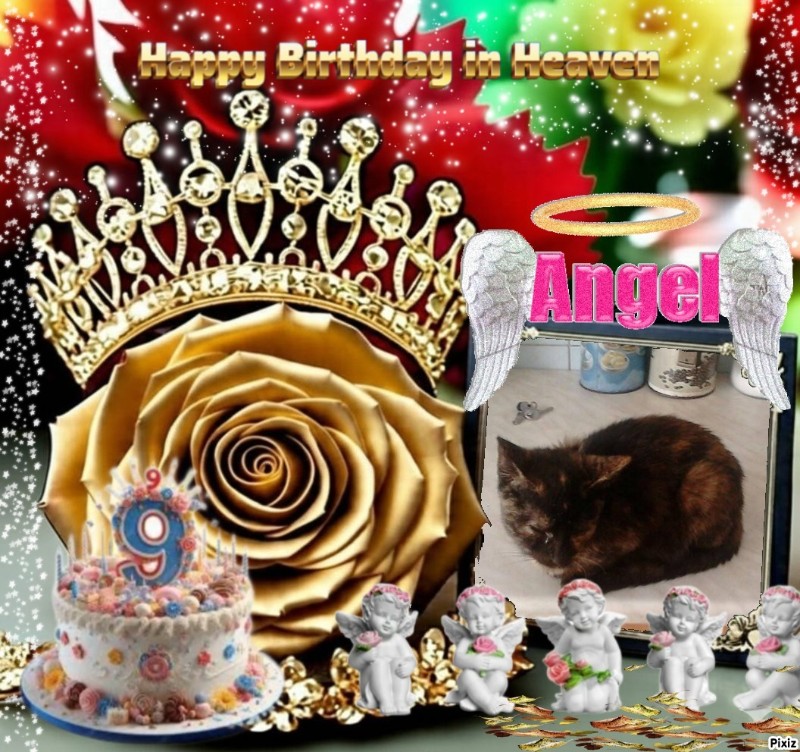 Princess Lana of the zoza1958 family