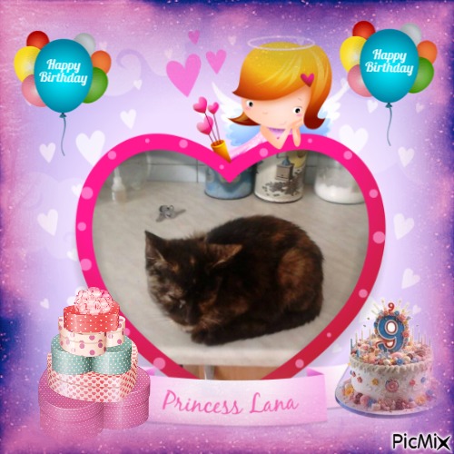 zoza1958 uploaded   2  day/s  ago