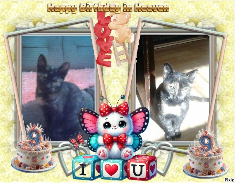 Princess Lana of the zoza1958 family