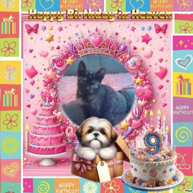 Princess Lana of the zoza1958 family