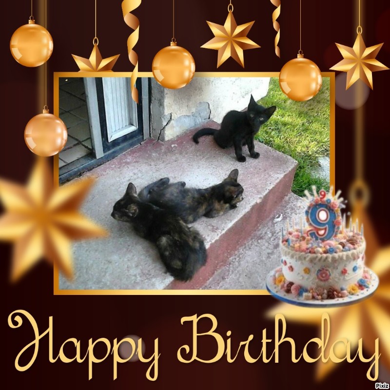 zoza1958 uploaded   2  day/s  ago