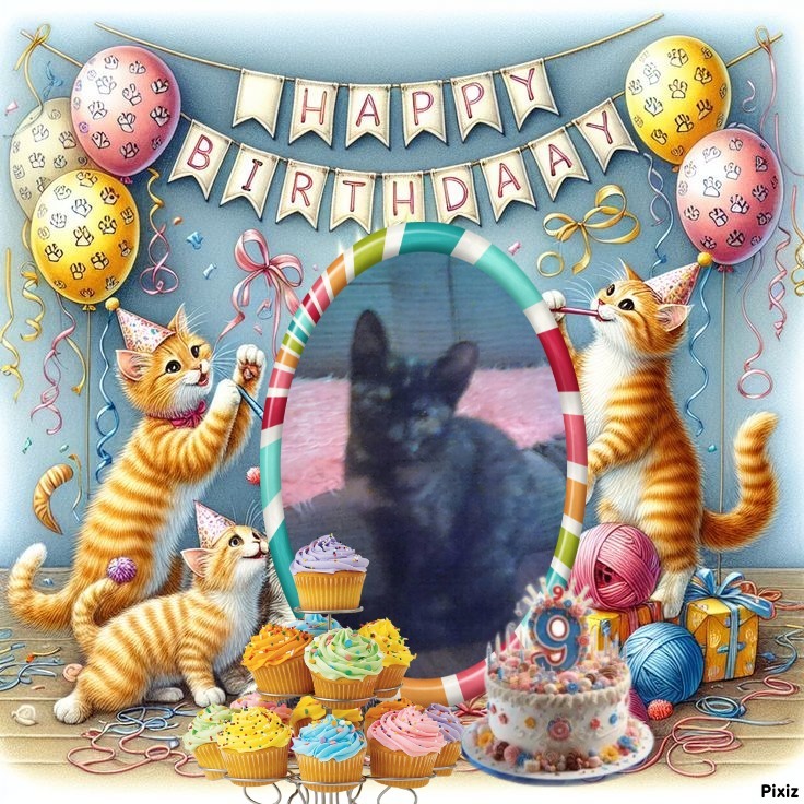 zoza1958 uploaded   3  day/s  ago