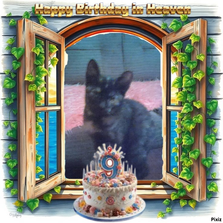 zoza1958 uploaded   2  day/s  ago