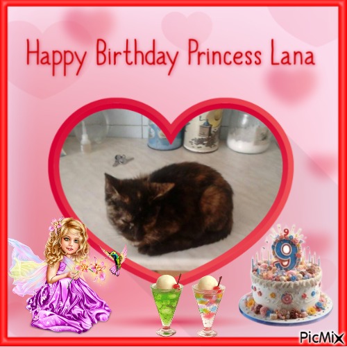 zoza1958 uploaded   2  day/s  ago