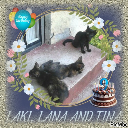 Princess Lana of the zoza1958 family