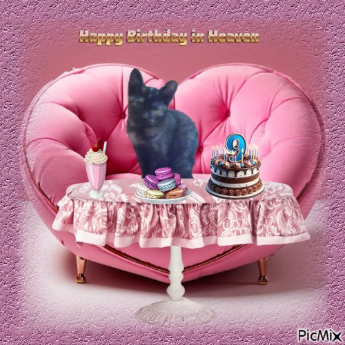 zoza1958 uploaded   3  day/s  ago