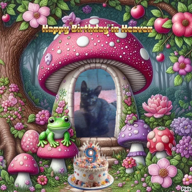 zoza1958 uploaded   2  day/s  ago