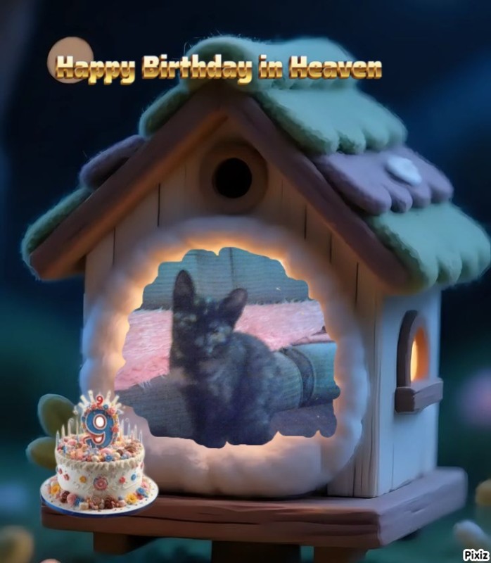 zoza1958 uploaded   2  day/s  ago