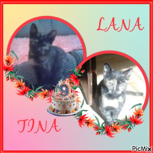 Princess Lana of the zoza1958 family