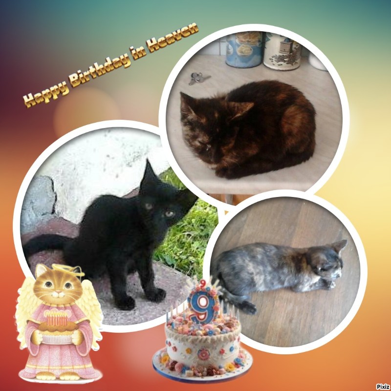 zoza1958 uploaded   2  day/s  ago