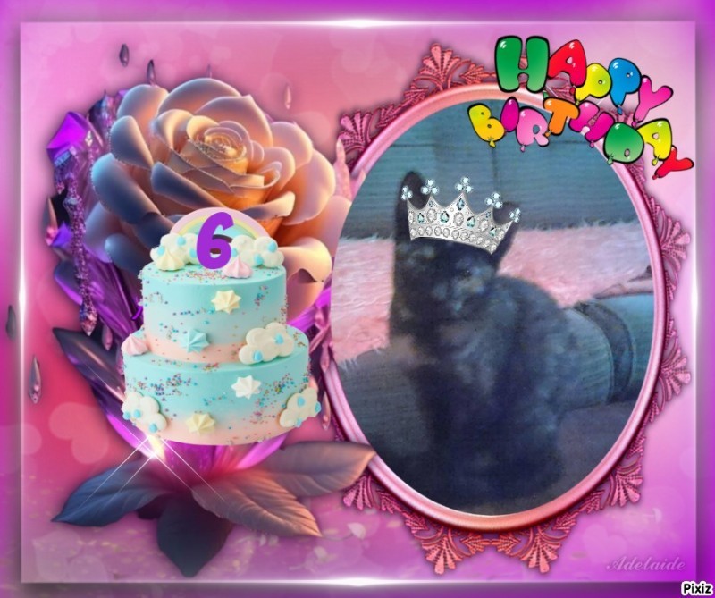 Princess Lana of the zoza1958 family