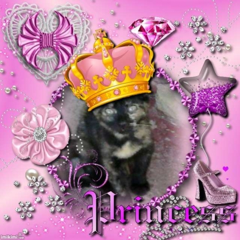 Princess Lana of the zoza1958 family