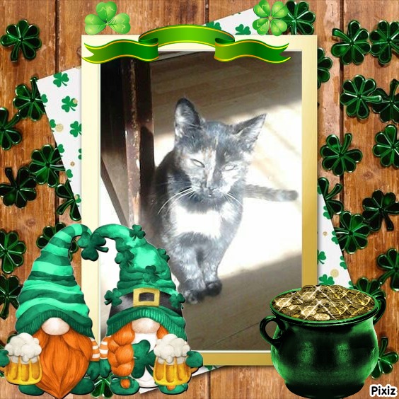 zoza1958 uploaded   31  day/s  ago