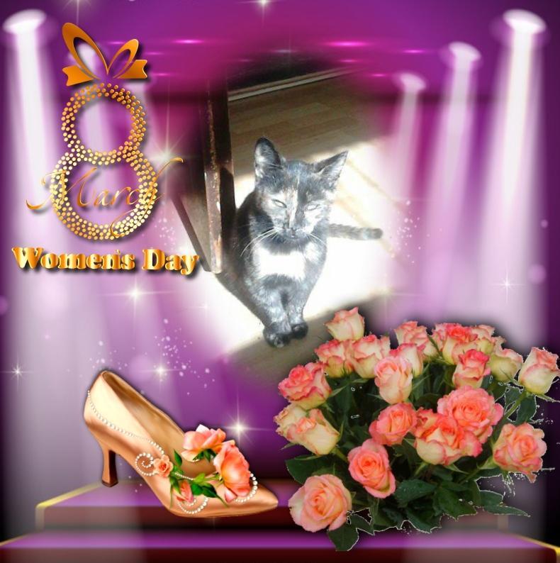 zoza1958 uploaded   46  day/s  ago