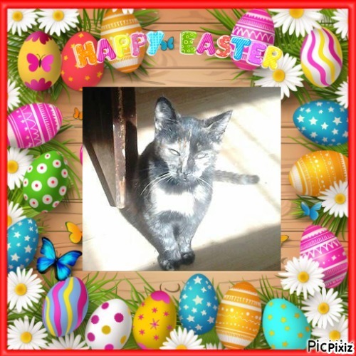 zoza1958 uploaded   6  day/s  ago