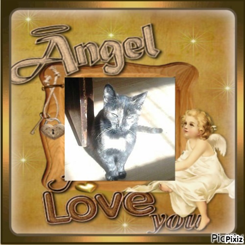 Princess Tina of the zoza1958 family