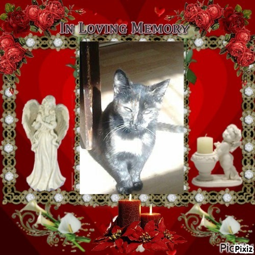 Princess Tina of the zoza1958 family