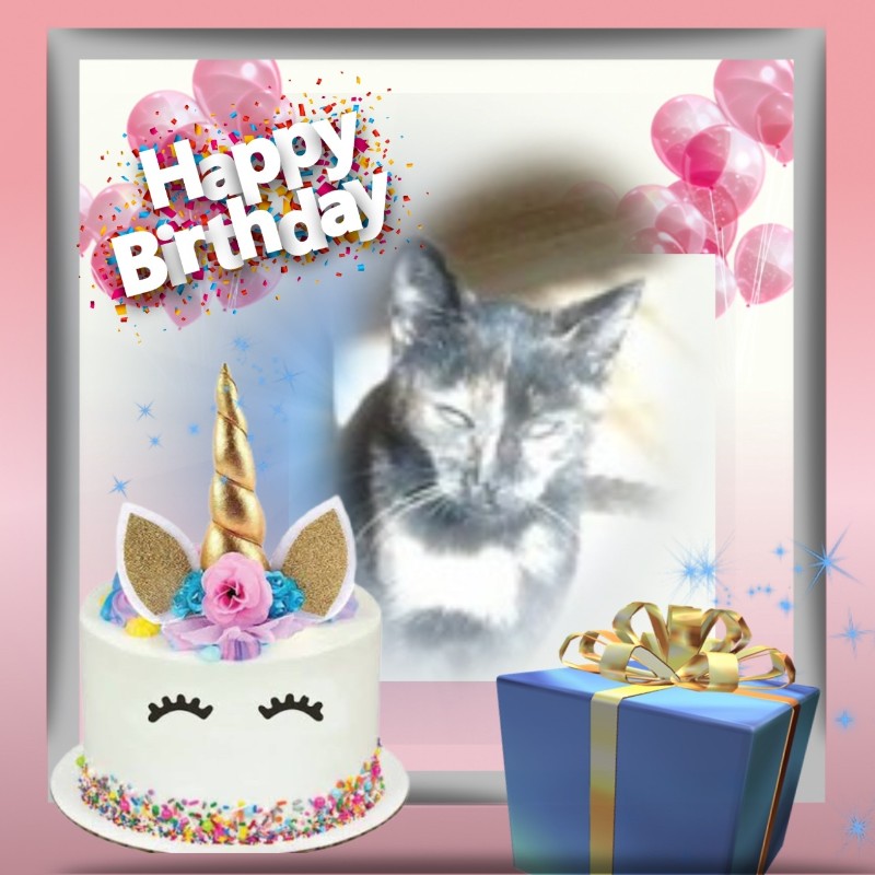 zoza1958 uploaded   3  day/s  ago