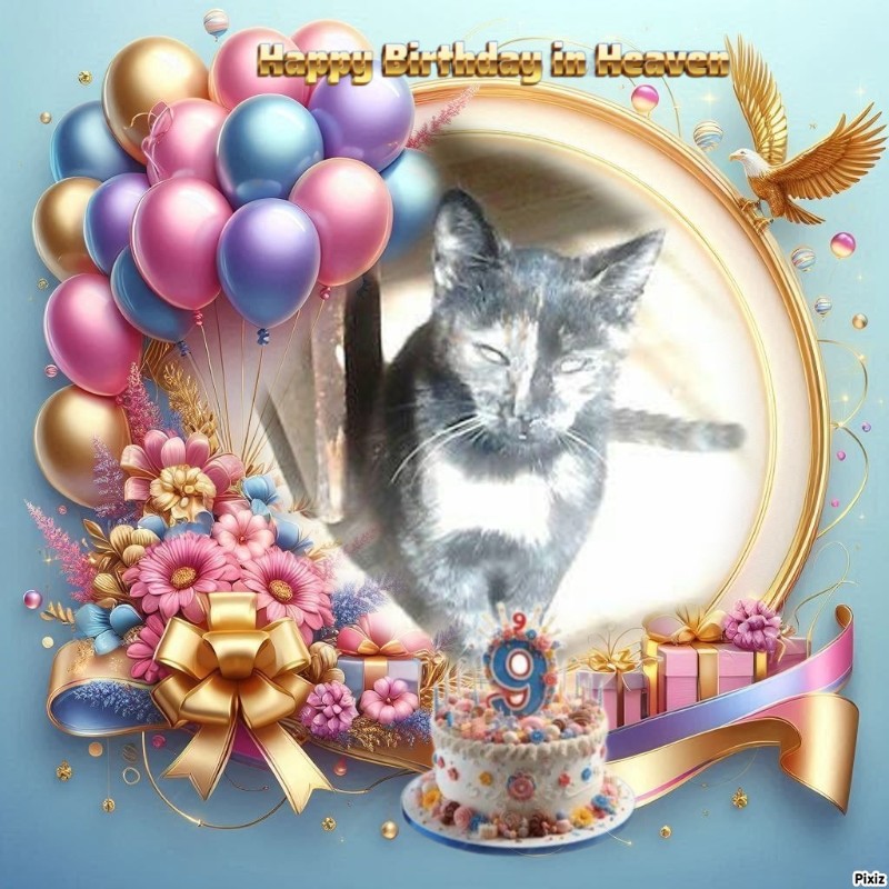 zoza1958 uploaded   3  day/s  ago