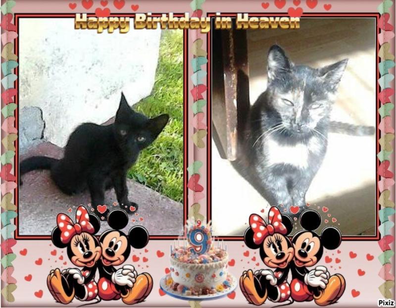 zoza1958 uploaded   6 hour/s ago