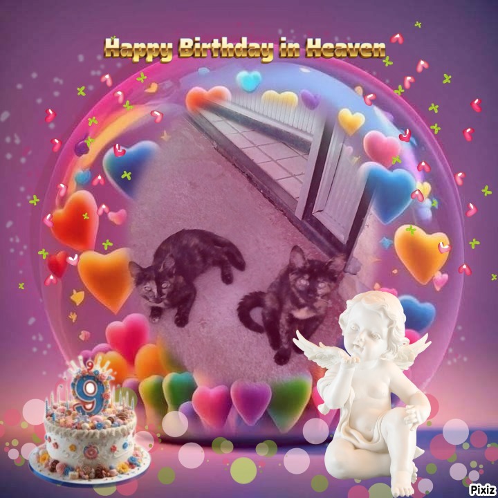 zoza1958 uploaded   6 hour/s ago