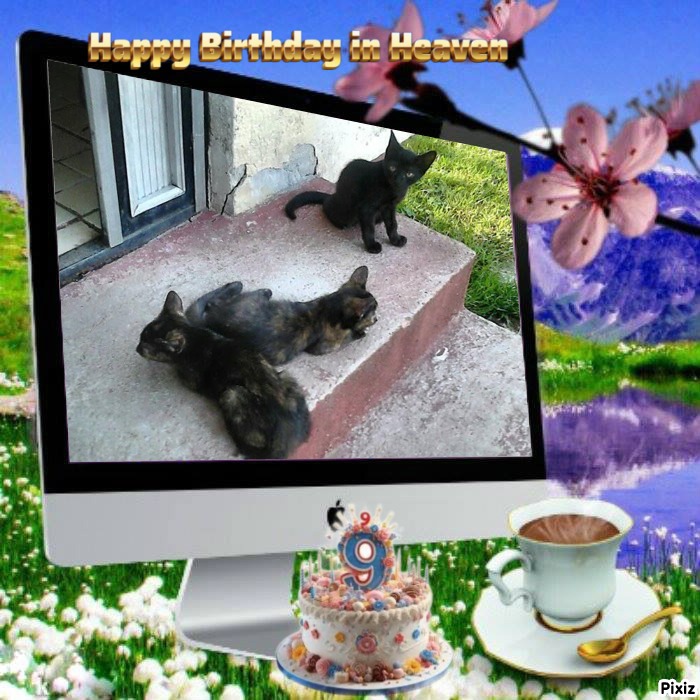 zoza1958 uploaded   2  day/s  ago