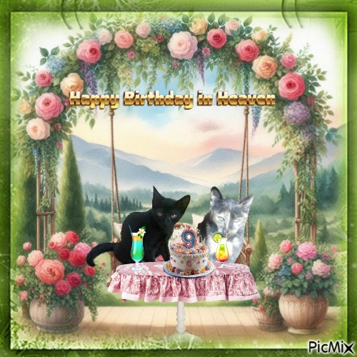 zoza1958 uploaded   3  day/s  ago