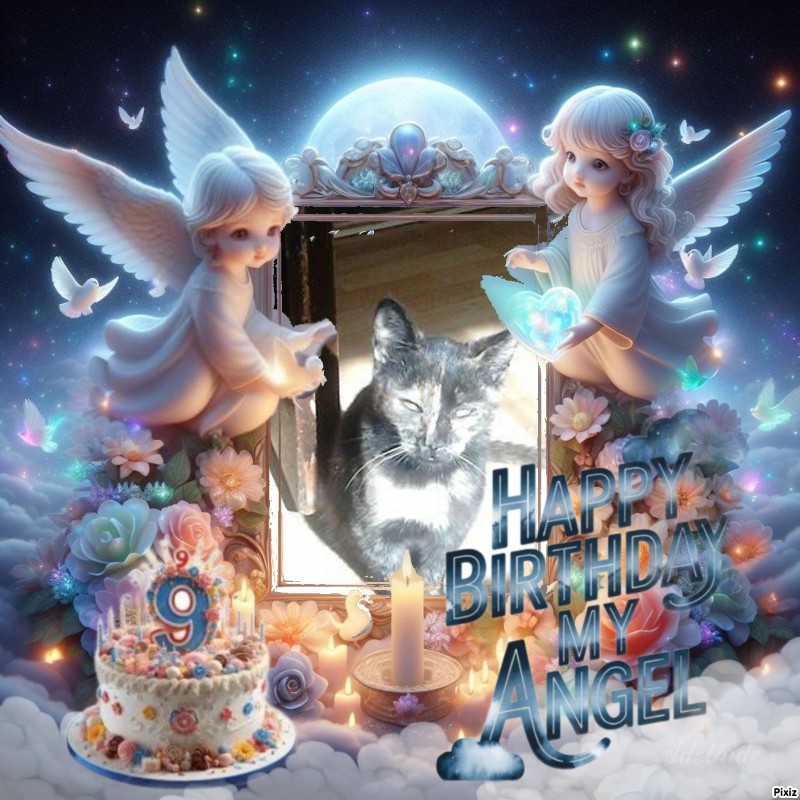 zoza1958 uploaded   3  day/s  ago