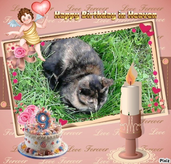 zoza1958 uploaded   6 hour/s ago