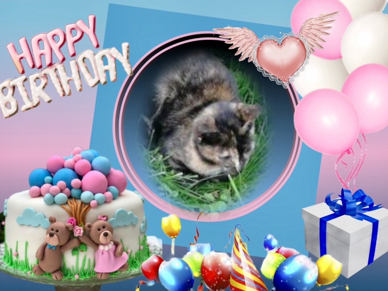 zoza1958 uploaded   3  day/s  ago