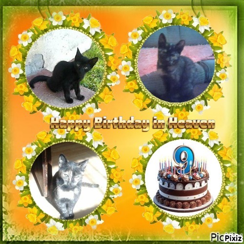 zoza1958 uploaded   3  day/s  ago