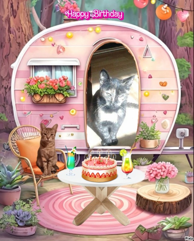 zoza1958 uploaded   6 hour/s ago