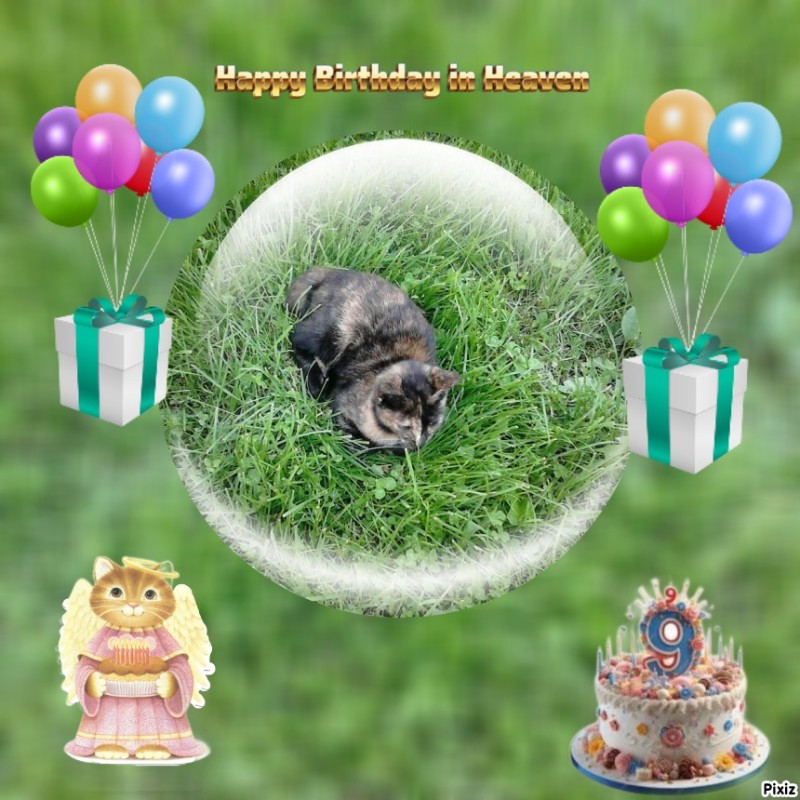 zoza1958 uploaded   2  day/s  ago