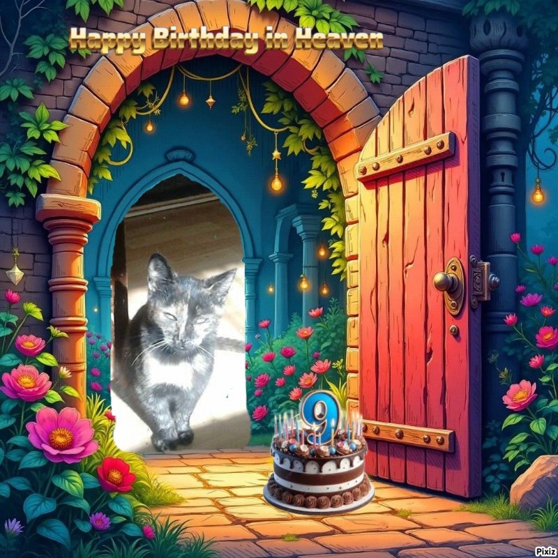 zoza1958 uploaded   2  day/s  ago