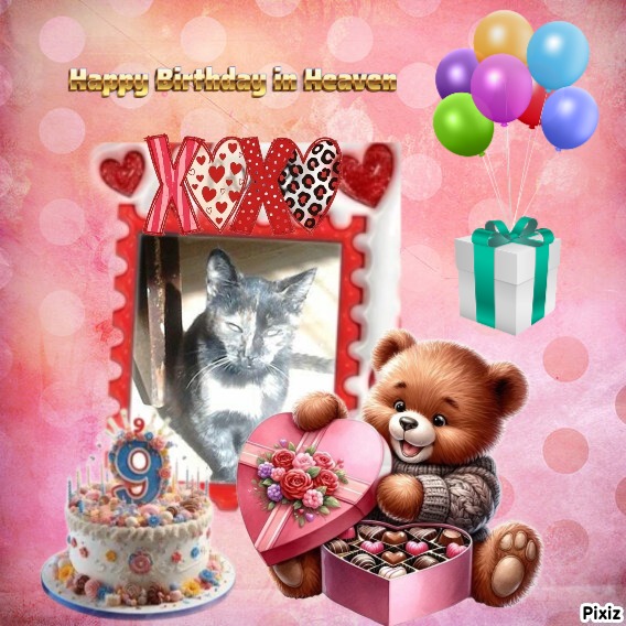 zoza1958 uploaded   6 hour/s ago