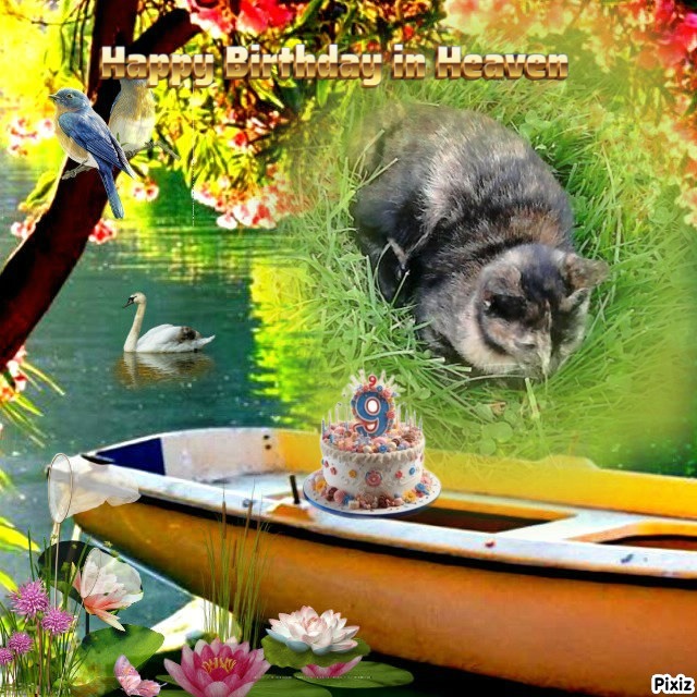 zoza1958 uploaded   2  day/s  ago