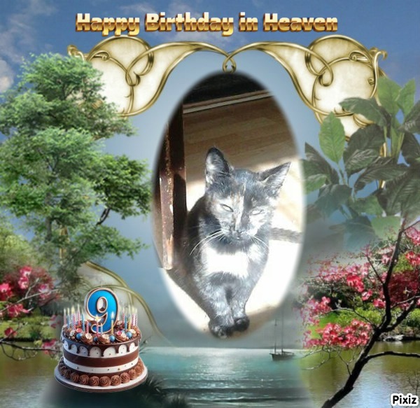 zoza1958 uploaded   2  day/s  ago