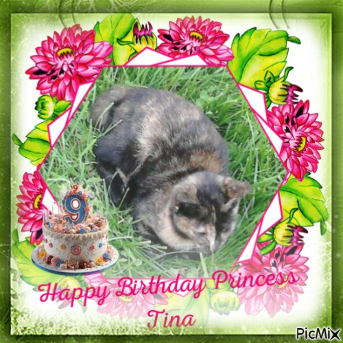 zoza1958 uploaded   2  day/s  ago