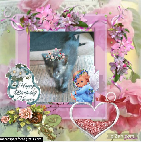 zoza1958 uploaded   3  day/s  ago