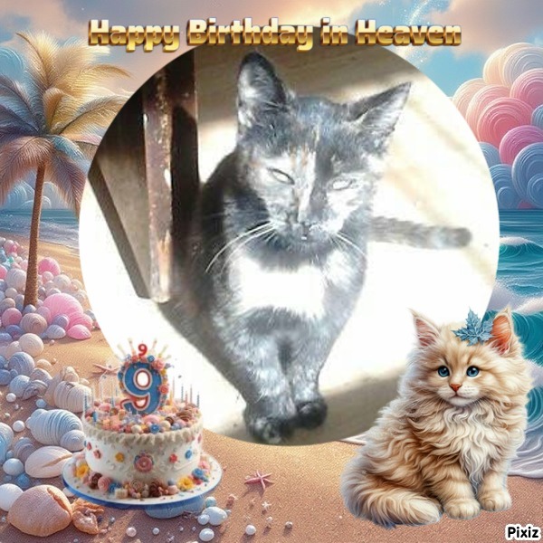 zoza1958 uploaded   6 hour/s ago