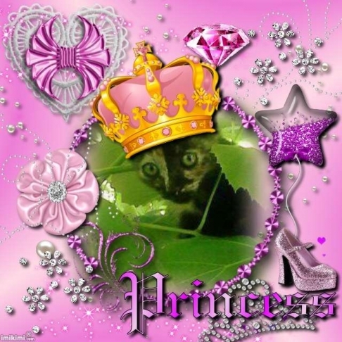 Princess Tina of the zoza1958 family