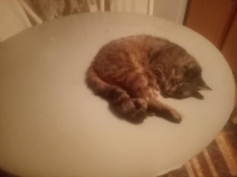 zoza1958 uploaded   1 year/s ago