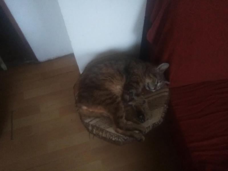 zoza1958 uploaded   1 year/s ago